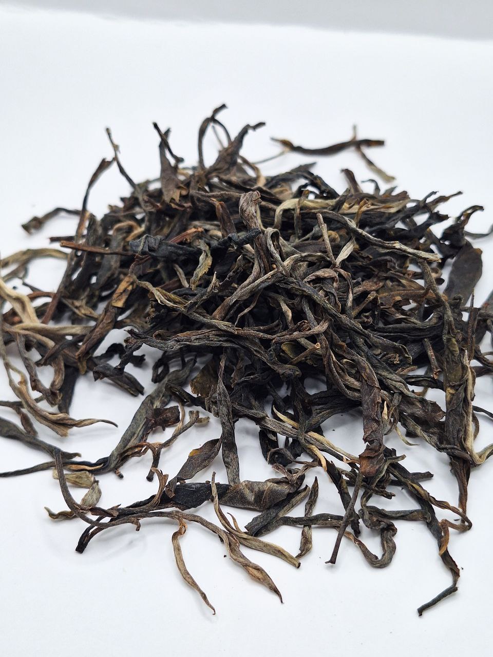 Шен Бирма Древние Деревья 2024 г